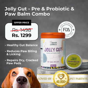 Gut & Glow Kit - Jolly Gut® and Unleash Wellness® Paw Balm Combo