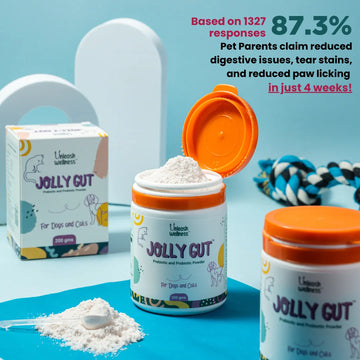 Unleash Wellness JOLLY GUT® dog probiotics powder supports gut health for dogs with prebiotics for digestive wellness in 200g jars.