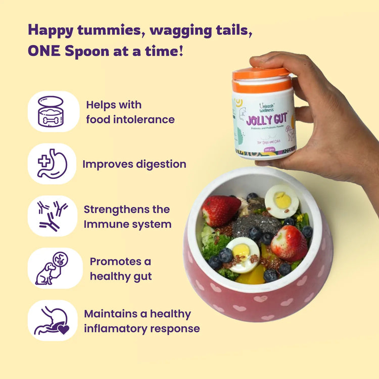 Unleash Wellness JOLLY GUT® dog probiotics for gut health and digestion, with prebiotics for dogs in powder form.