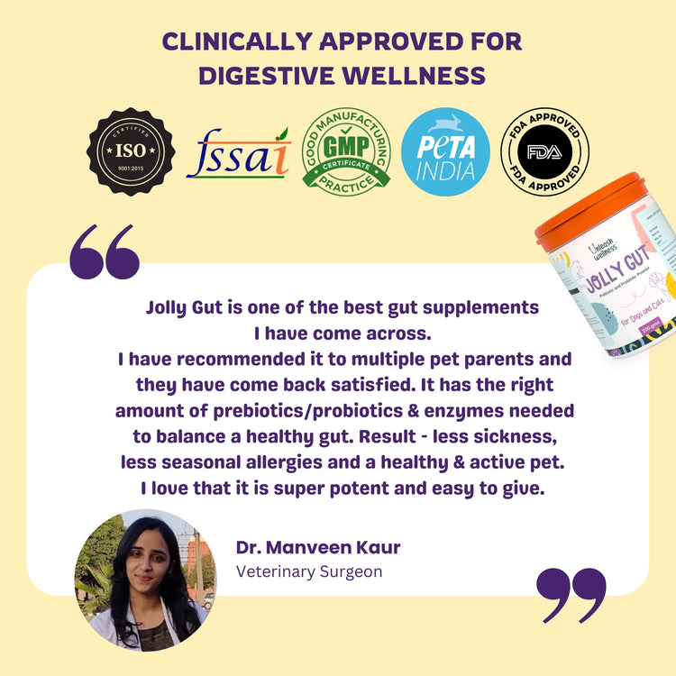 Unleash Wellness JOLLY GUT® pre + probiotic powder for dog gut health and digestive supplement with clinically approved benefits.