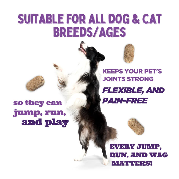 JOUNCE hip and joint supplement for dogs with glucosamine, supporting flexible pain-free movement for all breeds by Unleash Wellness