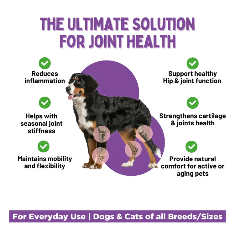 JOUNCE hip and joint supplement for dogs by Unleash Wellness, glucosamine formula for dog joint health, supports mobility & reduces stiffness