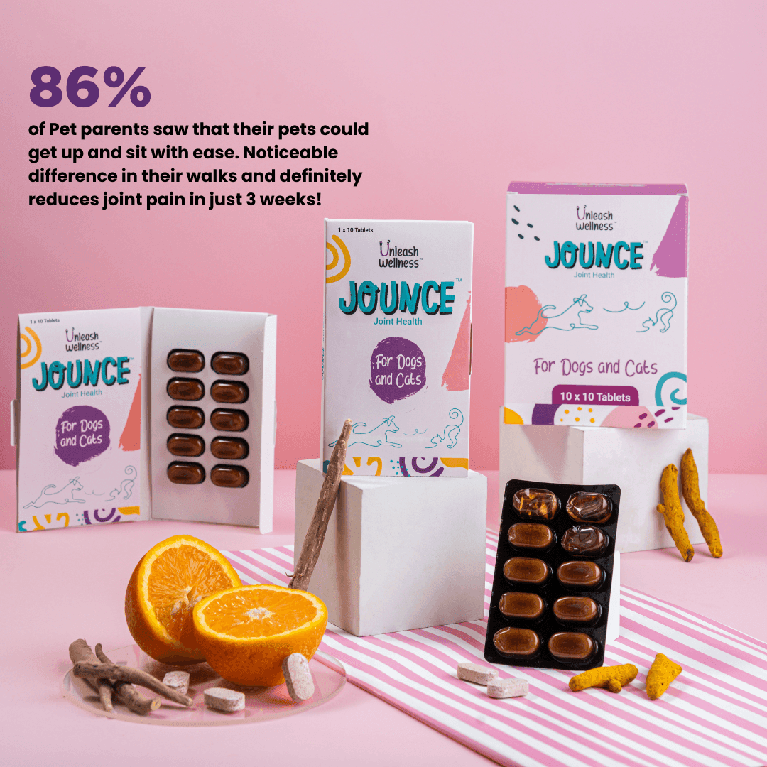 JOUNCE® - Hip and Joint Supplement For Pets - Unleash Wellness