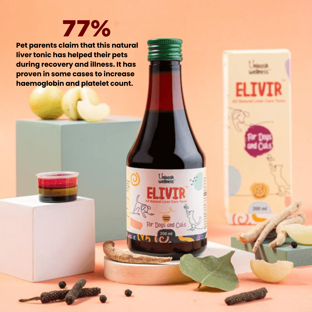 ELIVIR® - Natural Liver Tonic with Ashwagandha (200 ml) - Unleash Wellness