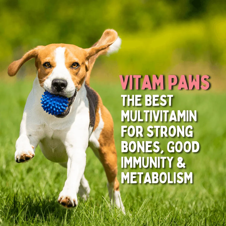 VITAM PAWS dog multivitamin by Unleash Wellness supports strong bones, immunity & metabolism for canine health and vitality.